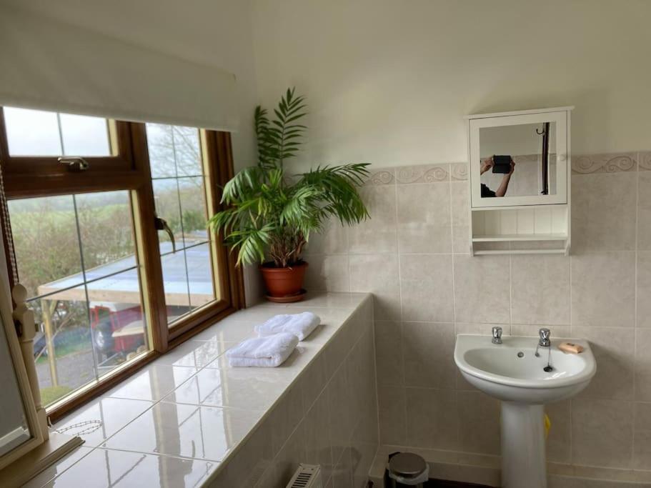 Bryntirion Farmhouse Rooms Llanfair Caereinion Eksteriør billede